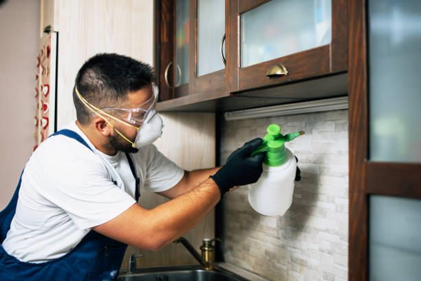 Best Best Pest Control Companies  in Mountain Home, AR