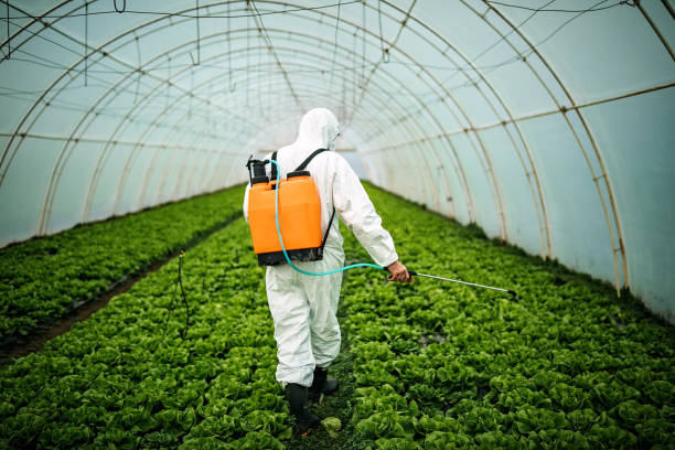 Best Pest Inspection Near Me  in Mountain Home, AR