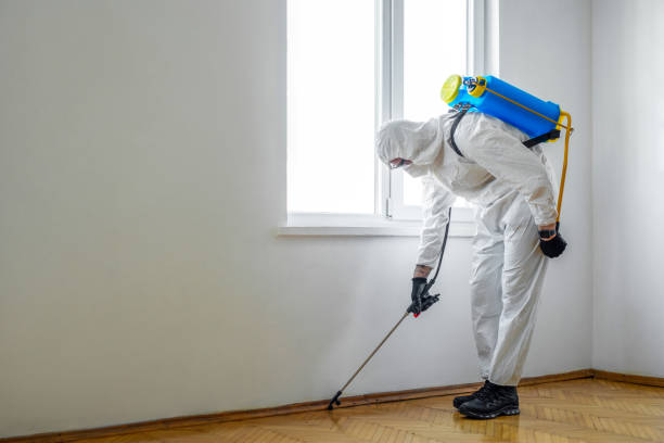 Pest Control Cost in Mountain Home, AR