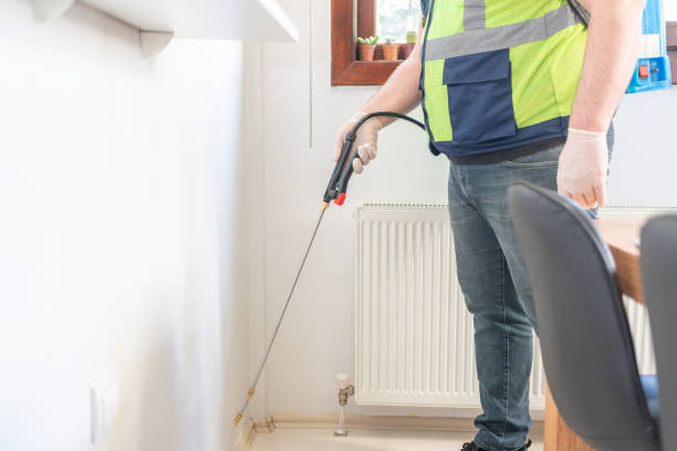 Best Cockroach Control Services  in Mountain Home, AR