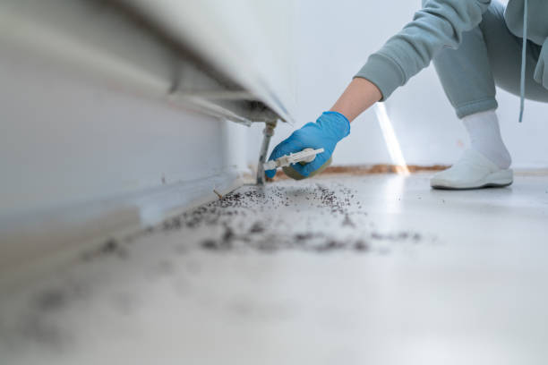 Mountain Home, AR Pest Control Company