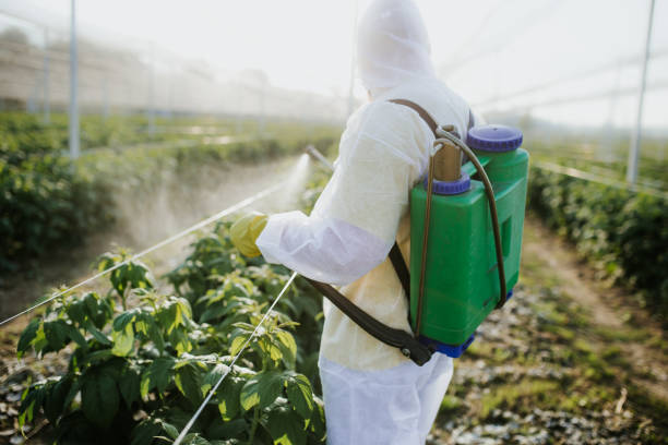  Mountain Home, AR Pest Control Pros